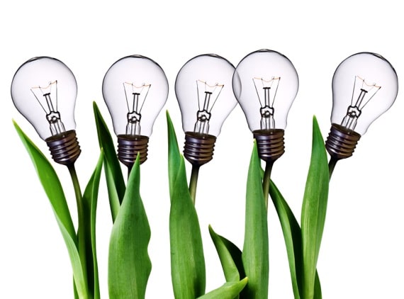 iStock_000008845773Small.jpg Five Light Bulb Tulips - Photo courtesy of ©iStockphoto.com/NREY, Image #8845773
