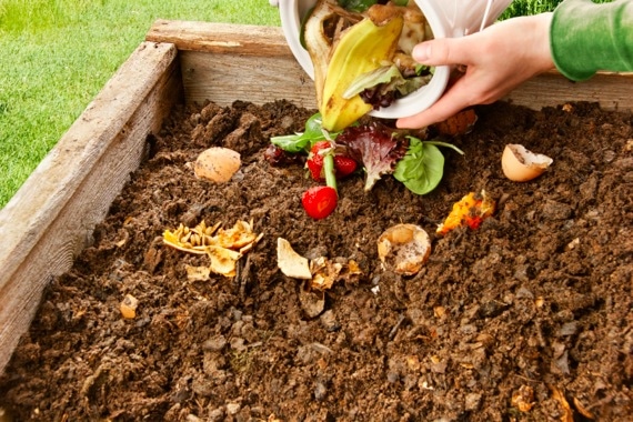 A Compost Pile - Photo courtesy of ©iStockphoto.com/jml5571, Image #16223881 A Compost Pile - Photo courtesy of ©iStockphoto.com/jml5571, Image #16223881